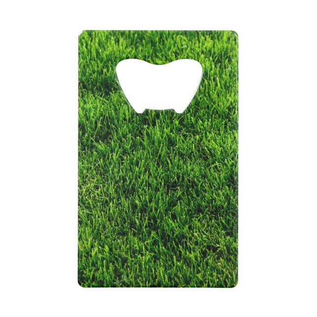Green grass texture from a soccer field (Front)