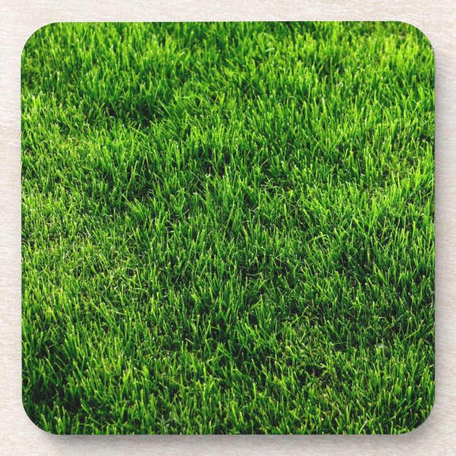 Green grass texture from a soccer field coaster (Front)