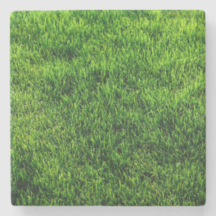Green grass texture from a soccer field stone coaster