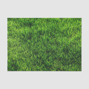 Green grass texture from a soccer field tissue paper