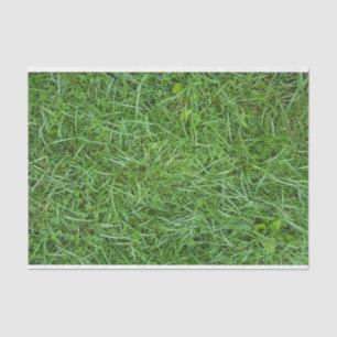 Green Grass Tissue Paper