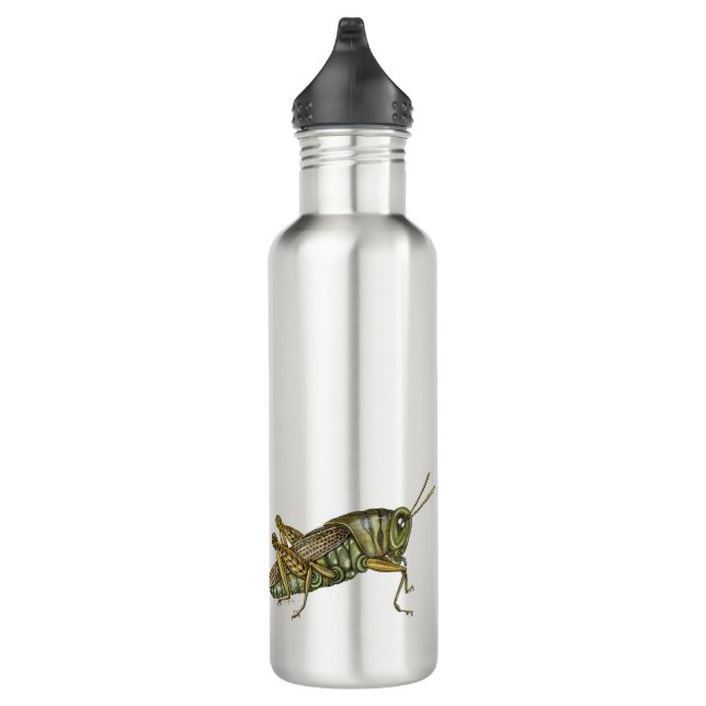 Green Grasshopper 710 Ml Water Bottle (Right)