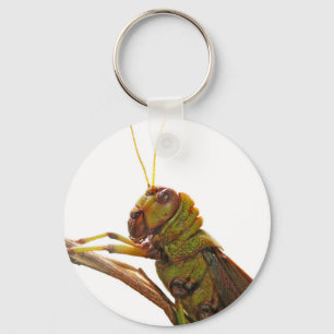 Green Grasshopper close up details Key Ring