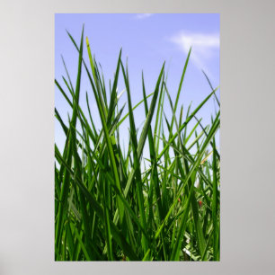 Green Green Grass Of Home print