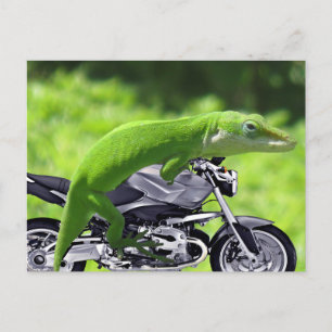 Green Hawaiian Gecko Rider Postcard