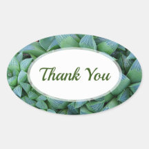 Green Haworthia Succulent Plant Thank You Sticker