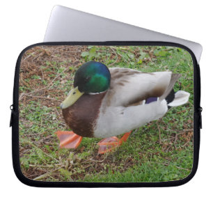 Green Head Duck Neoprene Laptop Sleeve 10 inch