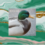 Green Headed Mallard Drake Tile<br><div class="desc">Nature themed ceramic tile featuring the photo image of a green-headed Mallard drake,  the male of the duck species. Select your tile size. Makes a great kitchen trivet!</div>