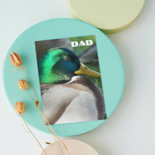 Green Headed Mallard Duck Father's Day Card