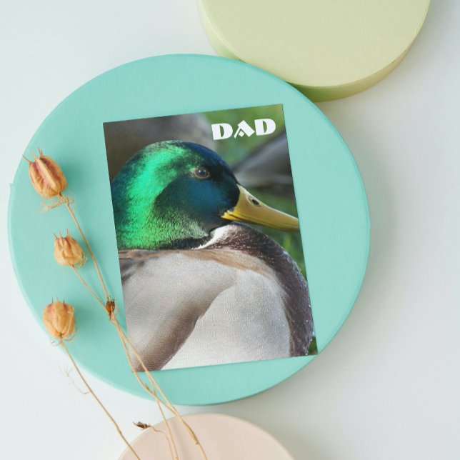 Green Headed Mallard Duck Father's Day Card (In Situ)