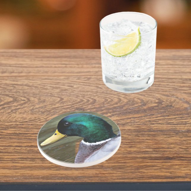 Green Headed Mallard Duck Photo Sandstone Coaster (In Situ)