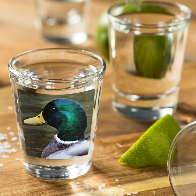 Green Headed Mallard Duck Shot Glass (In Situ)