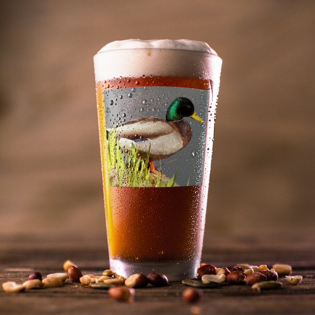 Green Headed Mallard Duck Wildlife Photo Glass (In Situ Beer)