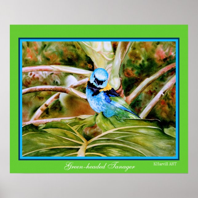Green-headed Tanager Fine Art Poster (Front)