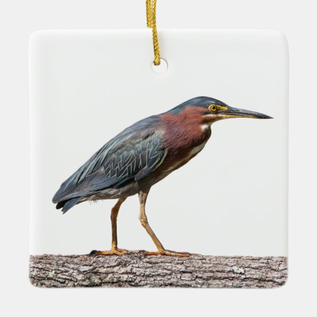 Green Heron Ceramic Tree Decoration (Front)