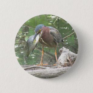 Green Heron gone fishing button