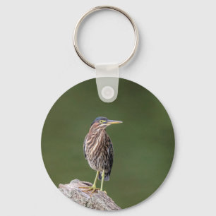 Green Heron on a log Key Ring