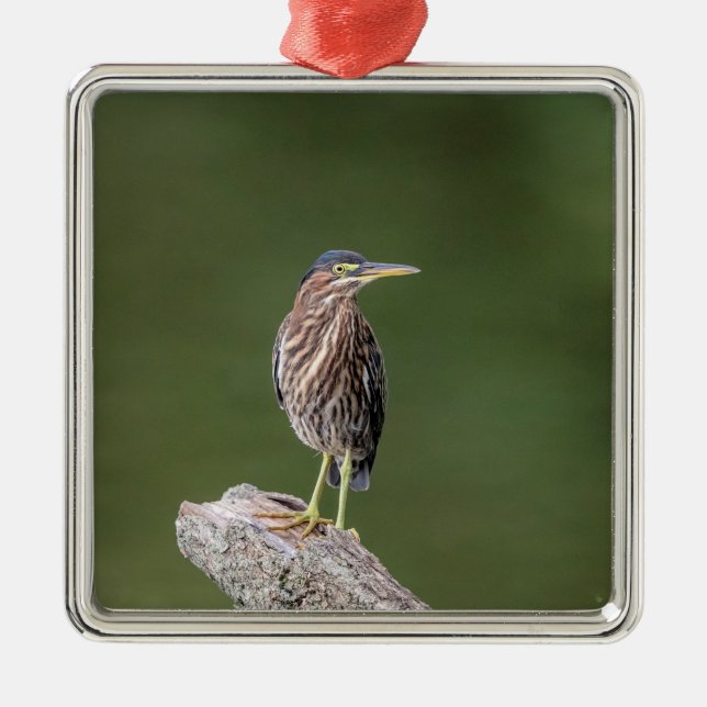 Green Heron on a log Metal Tree Decoration (Front)