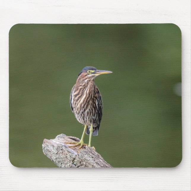 Green Heron on a log Mouse Pad (Front)