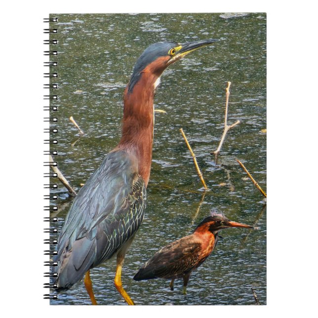 Green Heron Reusable Grocery Bag Notebook (Front)