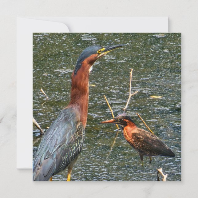 Green Heron Reusable Grocery Bag Save The Date (Front)