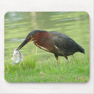 Green Heron with fish Mousepad 2