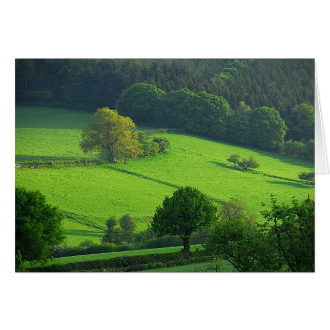 Green Hils (Front Horizontal)