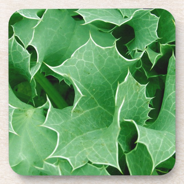 Green Holly close Up Set of Cork Coasters (Front)