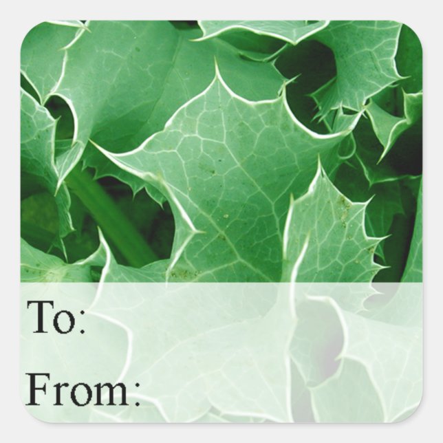 Green Holly Leaves Christmas Gift Tag (Front)