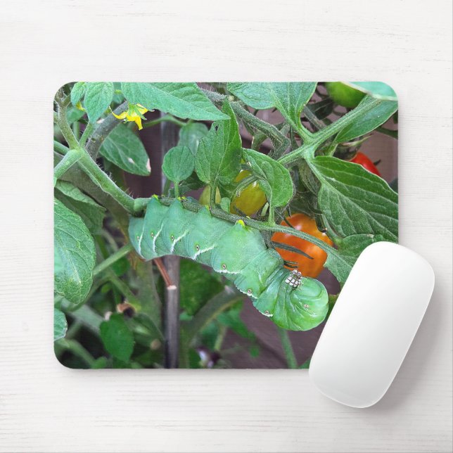 Green Hornworm On a Tomato Plant Mouse Pad (With Mouse)