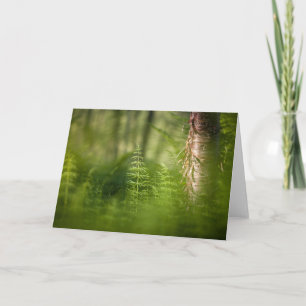 Green Horsetail Photo Card