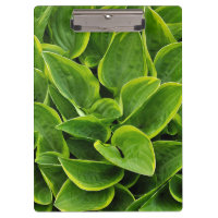 Green hosta leaves print
