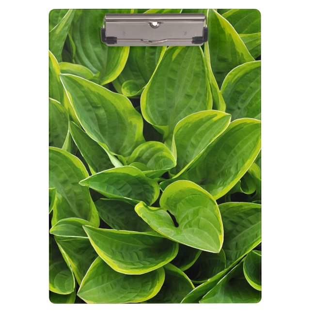 Green hosta leaves print clipboard (Front)