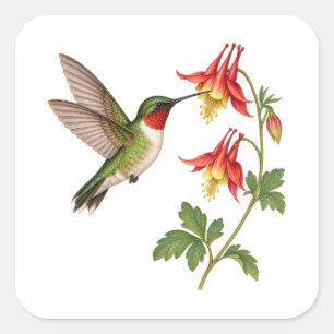 Green Hummingbird beside Red Wildflowers Square Sticker