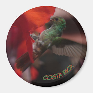 Green Hummingbird on Orange Flower Cust. Magnet