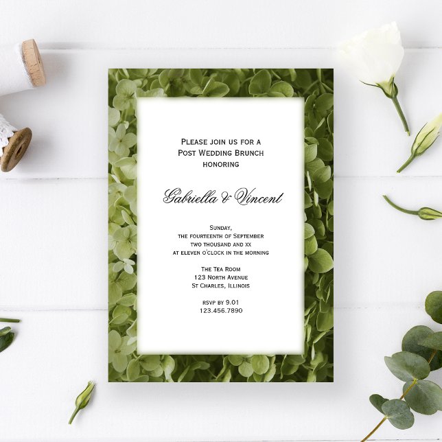 Green Hydrangea Flower Post Wedding Brunch Invitation (Creator Uploaded)