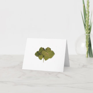 Green Hydrangea note card