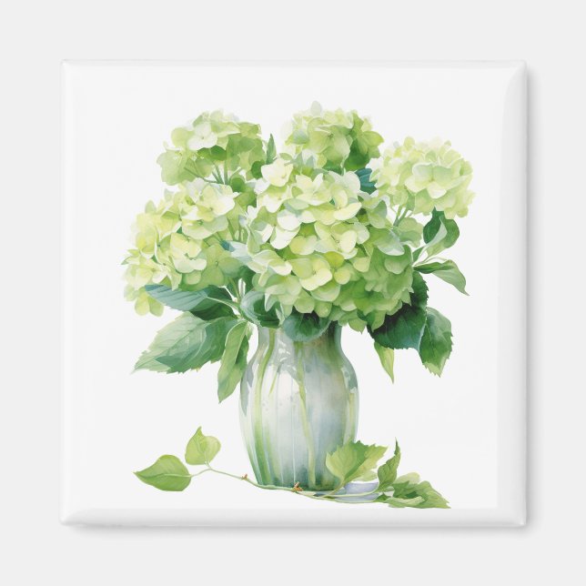Green Hydrangeas Magnet   (Front)