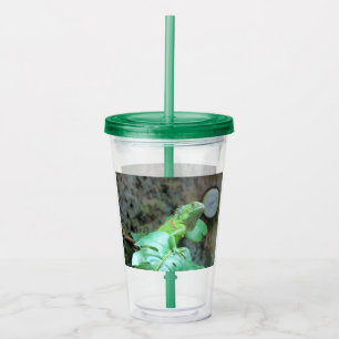 green iguana acrylic tumbler