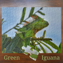 Green Iguana in a Palm Tree Photographic Jigsaw Pu