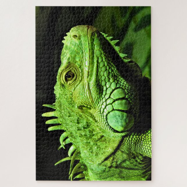 Green Iguana Jigsaw Puzzle (Vertical)