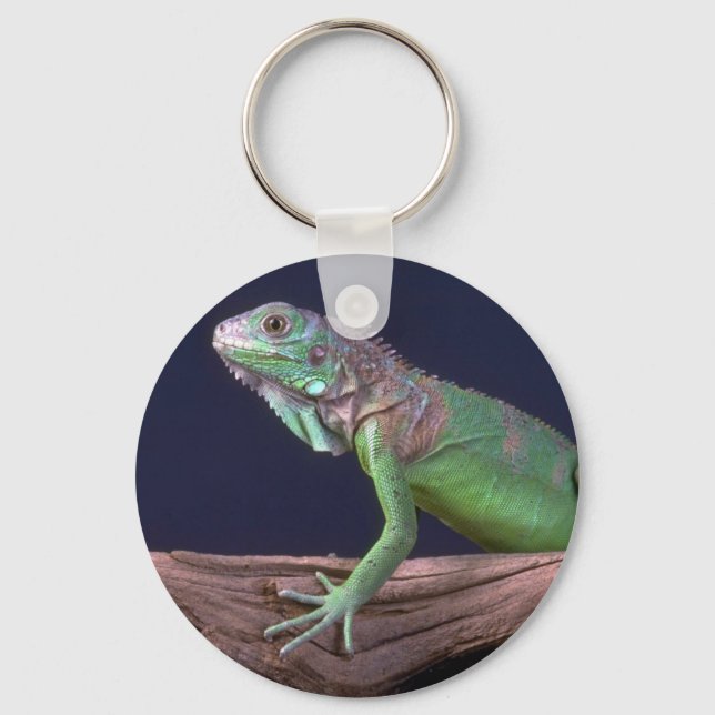 Green iguana key ring (Front)