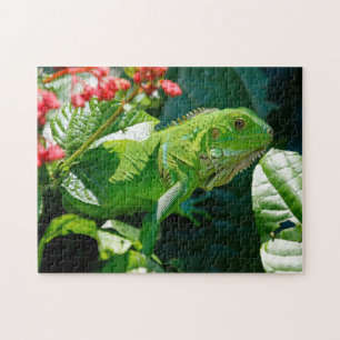 Green Iguana Lizard Jigsaw Puzzle
