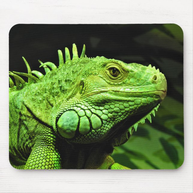 Green Iguana Mouse Pad (Front)