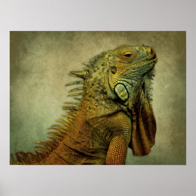 Green Iguana Poster (Front)