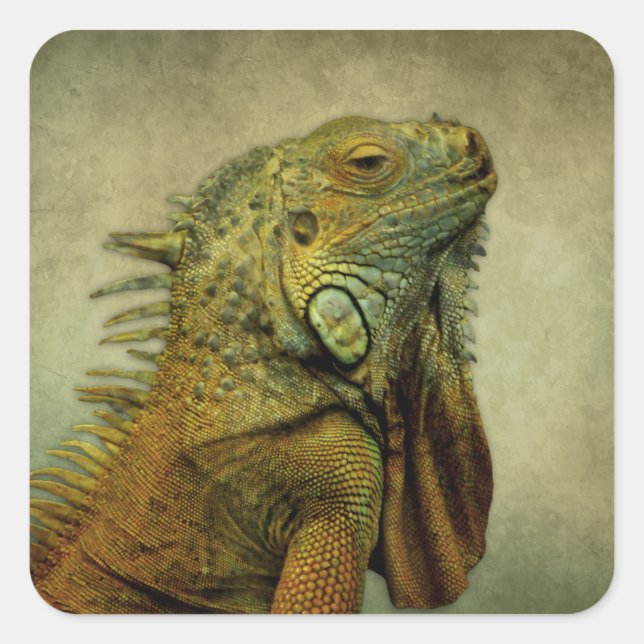 Green Iguana Square Sticker (Front)