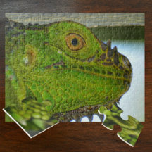 Green Iguana Up Close and Personal Photographic