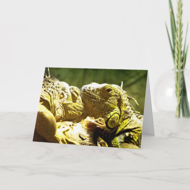 Green iguanas holiday card (Front)