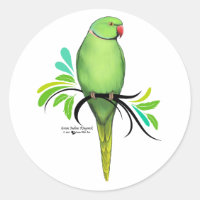 Green Indian Ringneck Parrot