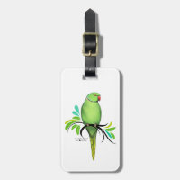 Green Indian Ringneck Parrot